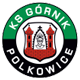 Górnik Polkowice