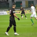 warta (20)