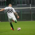 warta (24)