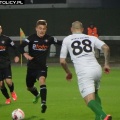 warta (27)