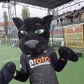 blekitni (03)