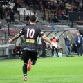 blekitni (40)