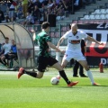 sokol (31)