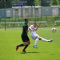 sokol (42)