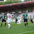 sokol (53)