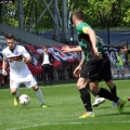 sokol (55)