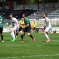 sokol (61)
