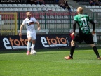 sokol (62)