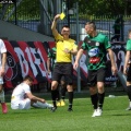 sokol (64)