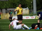 sokol (70)