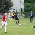 pogon (12)