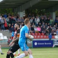 pogon (15)
