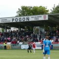 pogon (28)