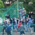 pogon (40)