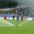gorni (69)