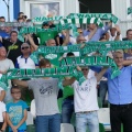warta (06)
