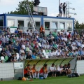 warta (13)