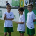warta (16)