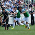 warta (22)