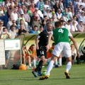 warta (23)
