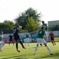 warta (24)