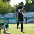 warta (28)