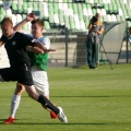 warta (29)