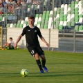 warta (48)