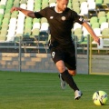 warta (55)