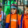 siar (37)
