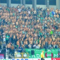 radomiak (26)