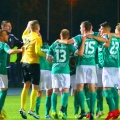 radomiak (28)