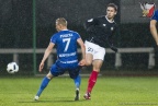 2016-10-07-Polonia-Puszcza-Niepołomice08