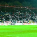 kotwica (20)