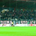 kotwica (29)