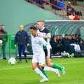 belchatow (27)