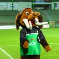 belchatow (43)