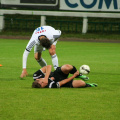 IMG 7995