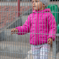 IMG 4566