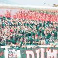 Wissa - Polonia23
