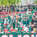 Wissa - Polonia24