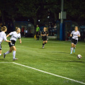 IMG 7037