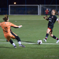 IMG 7042
