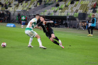 Lechia Gdańsk - Polonia (74) (24.04.2024) 