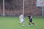 IMG 4942
