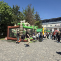 IMG 9146