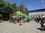 IMG 9146