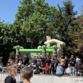 IMG 9150