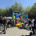 IMG 9141