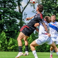 IMG 6931